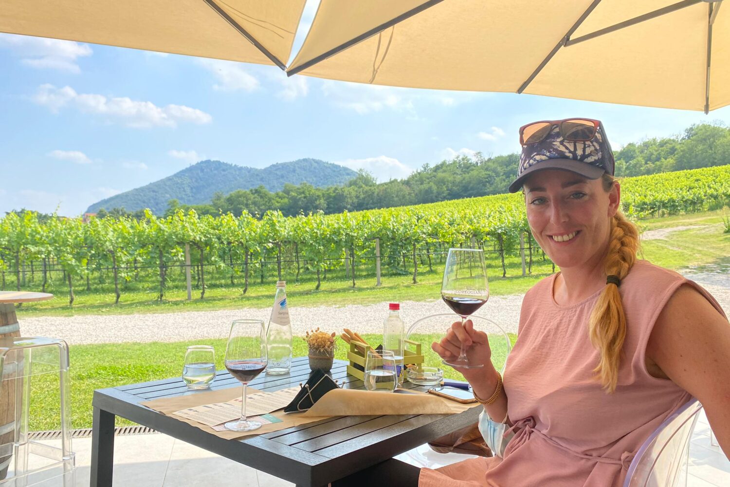 Wine tasting with winery visit in Euganean Hills