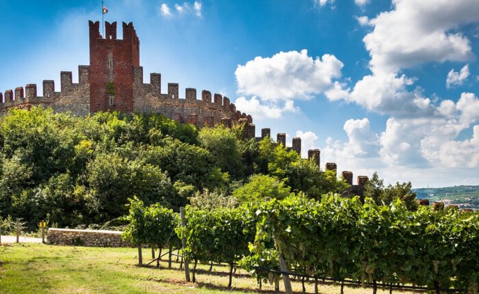 Soave wine and castle tour, Lovivo Tour Experience