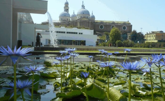 Padova città della scienza, Orto Botanico - Lovivo Tour Experience