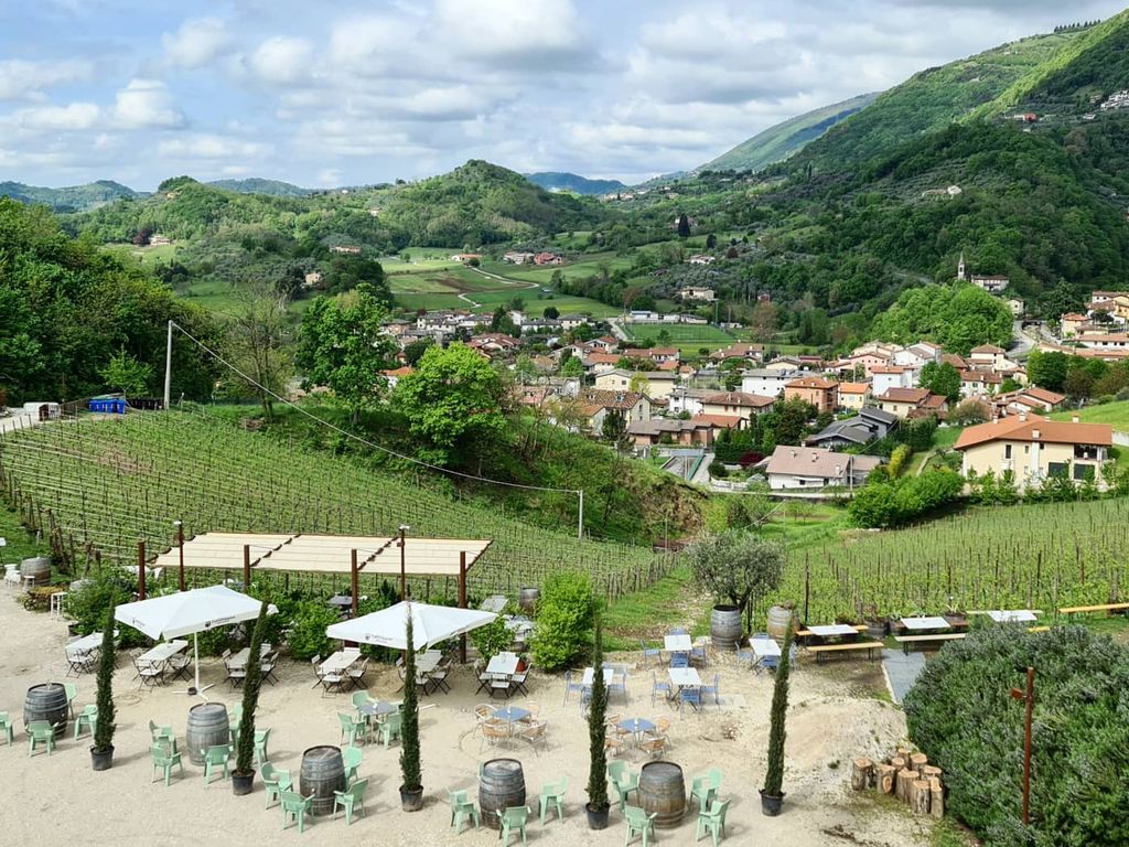 Hügel und Weinberge - Wein und Grappa in Bassano - Lovivo Tour Experience